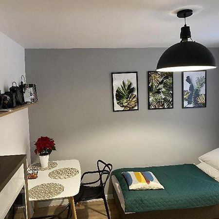 Apartamenty Blogi Sen Ii- Komfortowy Nocleg W Spokojnej Lokalizacji Zabrze Bagian luar foto